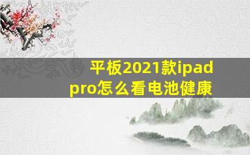 平板2021款ipad pro怎么看电池健康